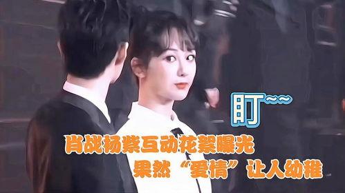 肖战杨紫网友爆料视频,揭秘幕后真相