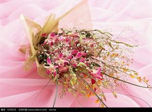 微头条花朵图片,微头条花朵图片赏析