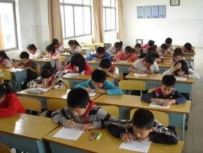 昆明网红上课点名,点名新风尚，互动教学新体验