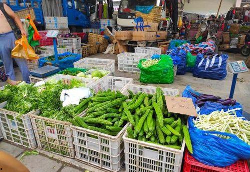 广州今日头条卖菜阿姨,今日头条记录平凡英雄