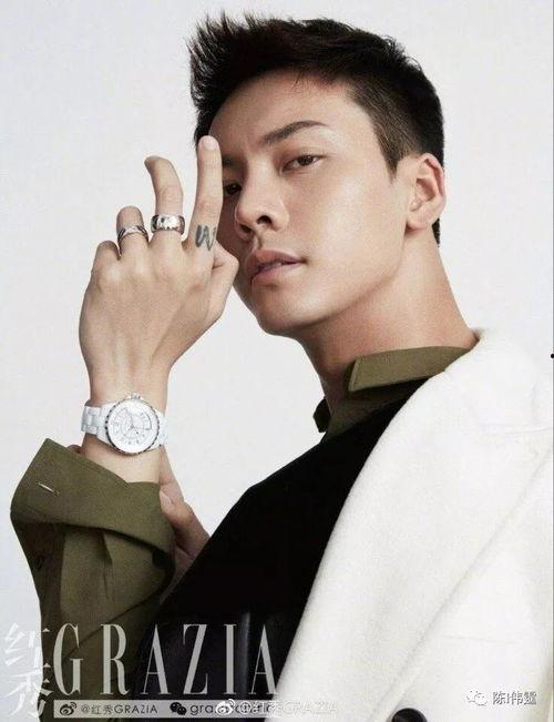 男明星叫开的,揭秘娱乐圈的璀璨星途与幕后故事