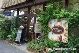 甜品店网红岳麓区,网红甜品，甜蜜邂逅你的味蕾之旅