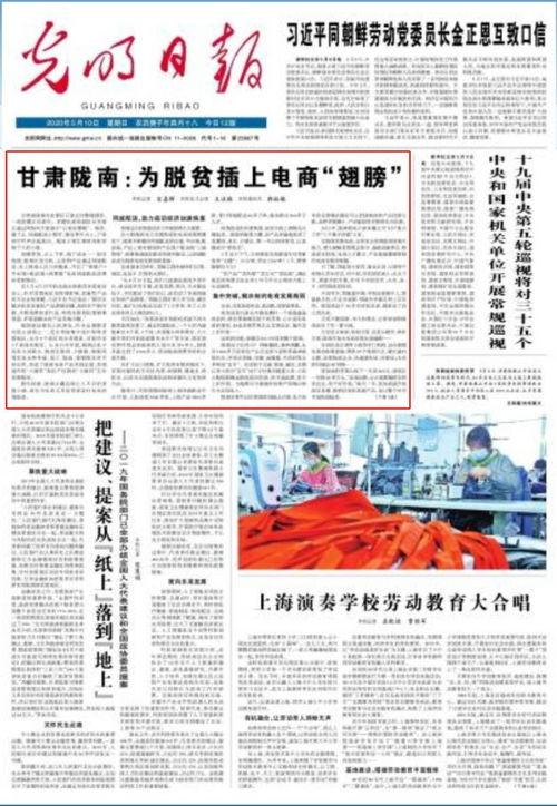 陇南新闻头条,聚焦乡村振兴战略，共绘美丽乡村新画卷