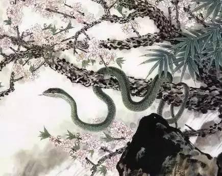 属蛇旳明星有哪些,揭秘属蛇明星们的璀璨人生