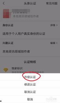 头条兴趣认证任务怎么做,轻松掌握内容创作新技能