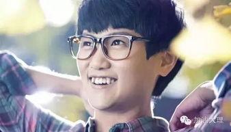 云南保山有哪些明星,明星汇聚的璀璨之地