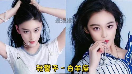 双子座的明星女,双子座明星女生的独特魅力与智慧风采