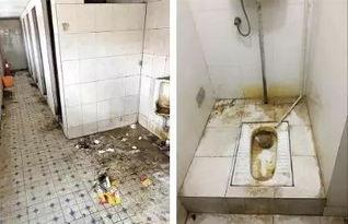偃师网红厕所事件原视频,揭秘偃师厕所背后的争议与真相