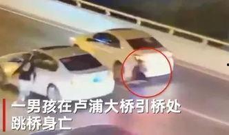 卢浦大桥爆料最新消息今天,最新进展及现场情况披露