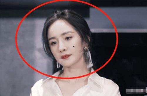 明星冷漠直播间,揭秘娱乐圈直播新现象