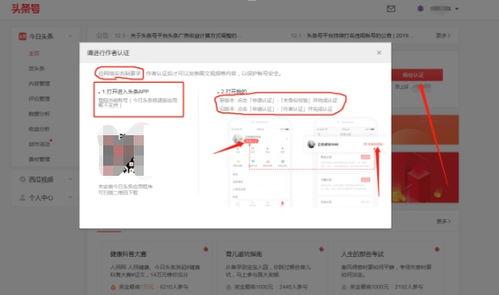 头条号如何认证加v,提升账号影响力