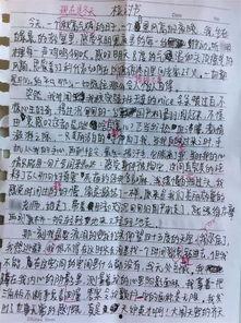 网红检讨书视频原文,深刻反思与自我救赎之路