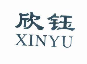 王金松明星,星光璀璨的影视新星