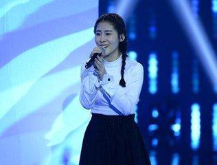 明星们回国,海外明星归国热潮背后的故事