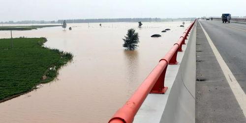 大荔新闻头条渭河事件,揭秘大荔新闻头条背后的真相