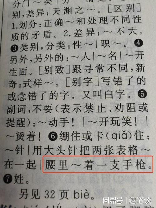 网红的网组词,网络时代的璀璨明星与社交新势力