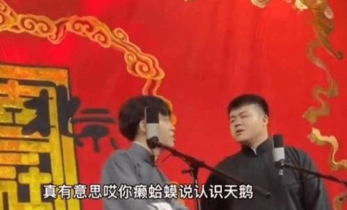 德云社怒怼女网红小说