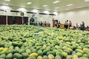 国际学校老师瓜,揭秘教育界的风云变幻