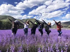 打卡康定网红新都桥,打卡网红打卡地，感受光影交织的视觉盛宴