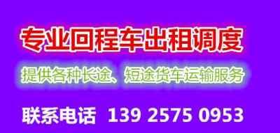 泉州无车可租新闻头条,无车可租背后的供需失衡