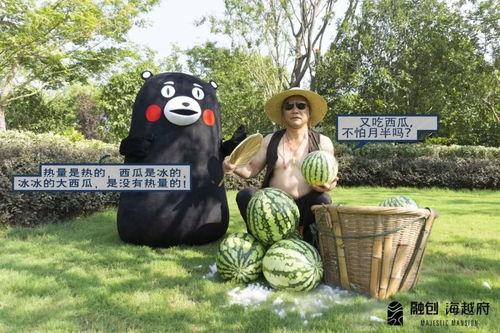 洛洛吃瓜记事件,揭秘娱乐圈幕后真相