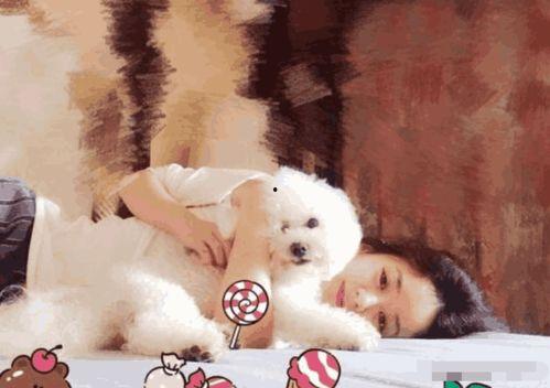 女孩明星抱狗,女孩明星与爱犬温馨互动瞬间