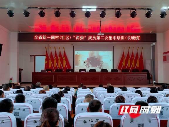 安化红网王子波,安化红网背后的创新力量