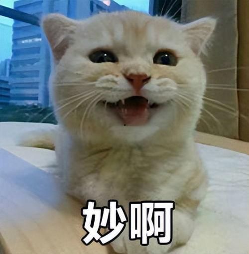 你是我的宝贝头条,头条聚焦温馨家庭故事