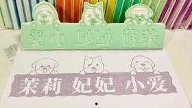 找明星手帐,记录与明星的亲密接触时光