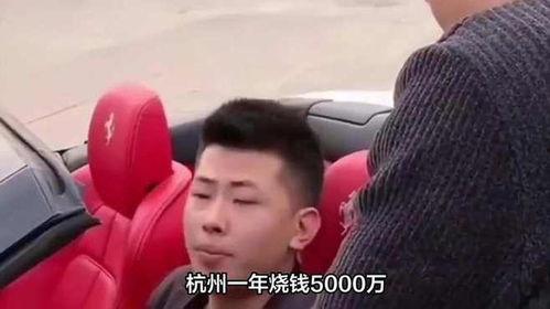 网红的老板,老板的智慧与策略