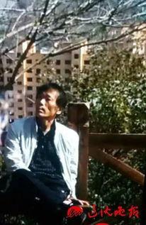 吃瓜群众免费自拍照,免费自拍照背后的故事