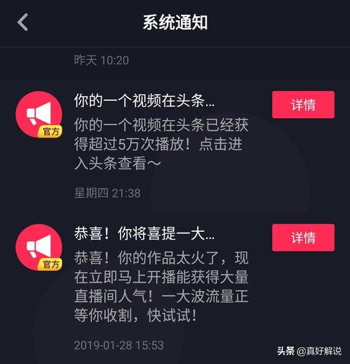 头条如何查看抖音播放量,头条教你轻松查看与提升