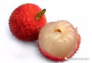 网红气球公主头,潮流新宠，时尚界的甜蜜旋风