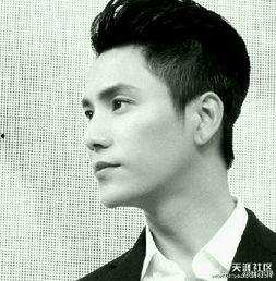 明星男的照片,揭秘明星男的魅力瞬间