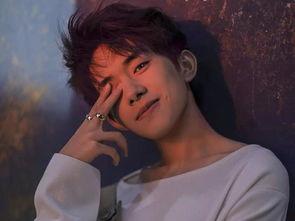 明星椰子斑马,明星风采与时尚潮流的完美融合