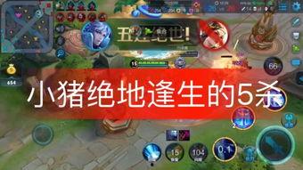 小猪王者荣耀爆料视频,小猪爆料视频带你领略游戏新动态