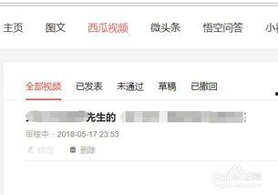 头条有钱怎么发视频赚钱,头条有钱视频制作与盈利技巧揭秘
