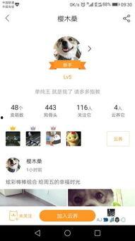 云养猫今日头条下载,今日头条带你领略虚拟宠物魅力