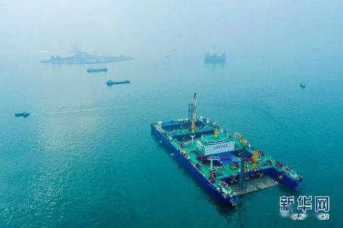 东北网红去海南发展